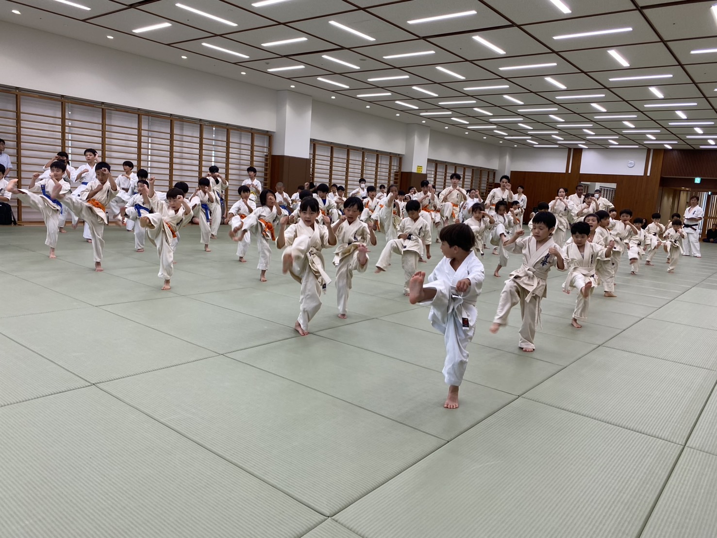 2025年夏期昇級審査会