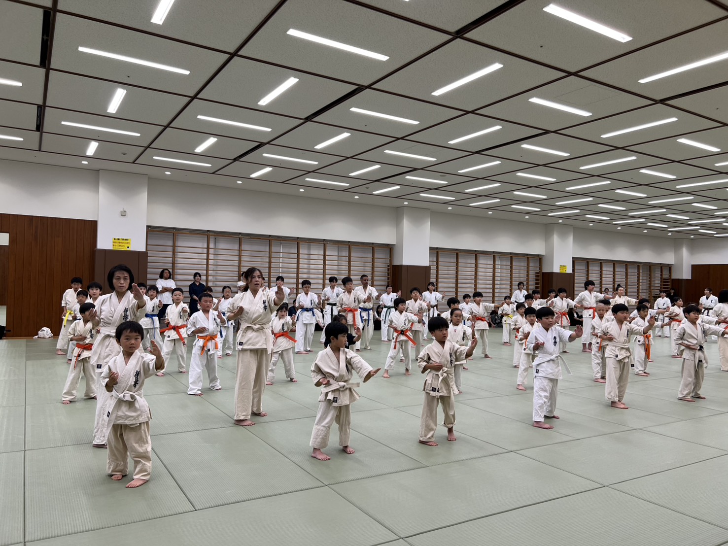2026年夏期昇級審査会
